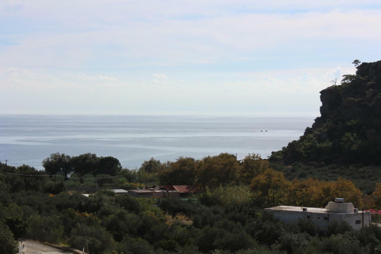 Aaron Studios Apartments Agia Fotia  Luaran gambar