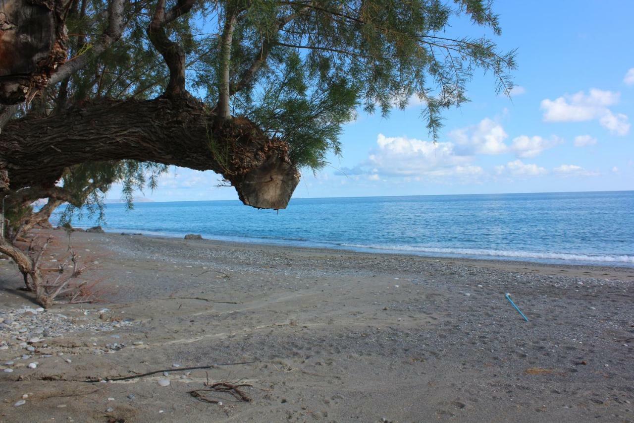 Aaron Studios Apartments Agia Fotia  Luaran gambar
